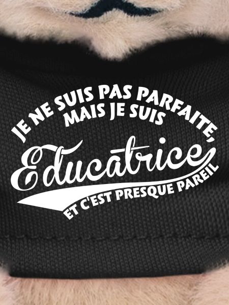 Parfaite Éducatrice