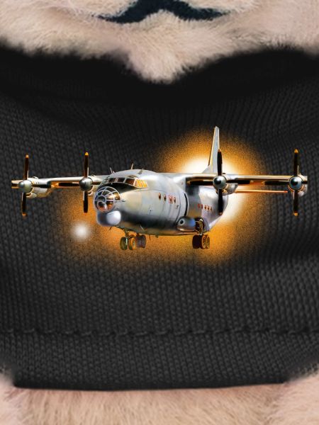 Transport aircraft Antonov-12