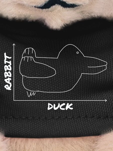 Funny Duck Graphic Rabbit