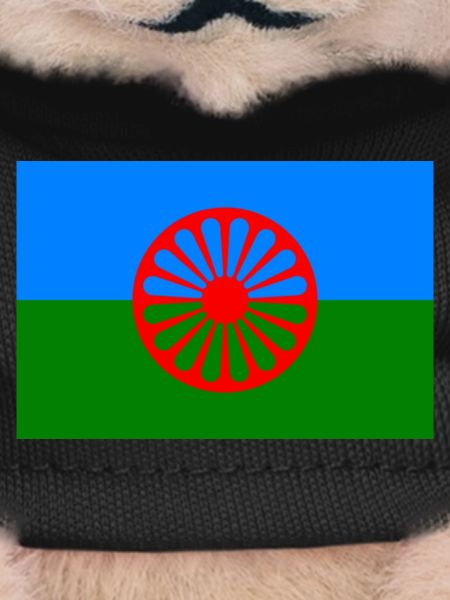 Drapeau rom 720x480 1