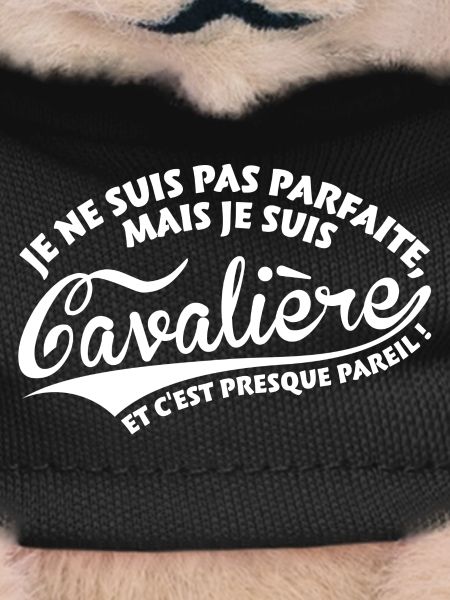 Parfaite Cavalière