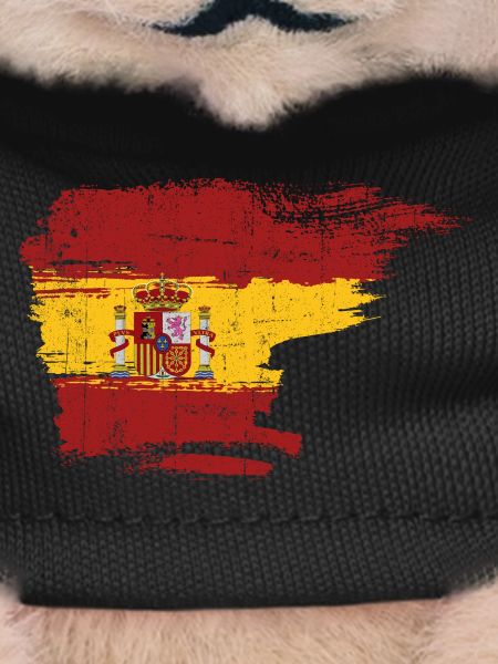 Spain Flag Brushstroke Crest