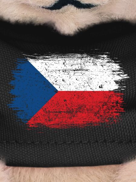 Brushstroke Czech Flag