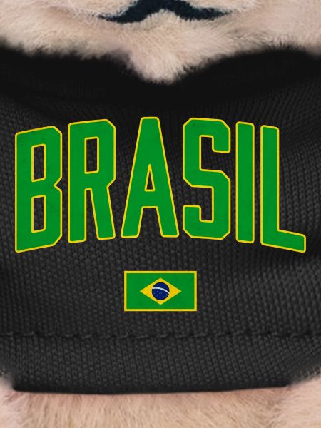 Brazil | Brasil