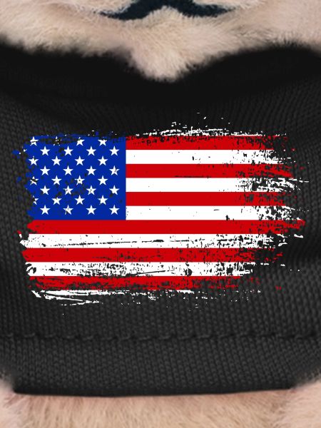 Brush Stroke American Flag