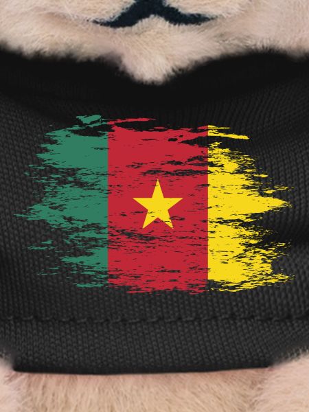 Cameroon flag used