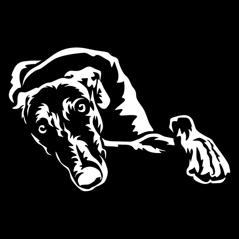 Galgo "Black Edition"