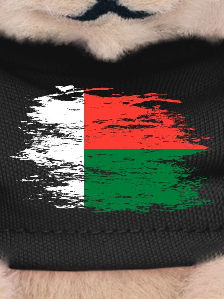 Drapeau de Madagascar utilisé