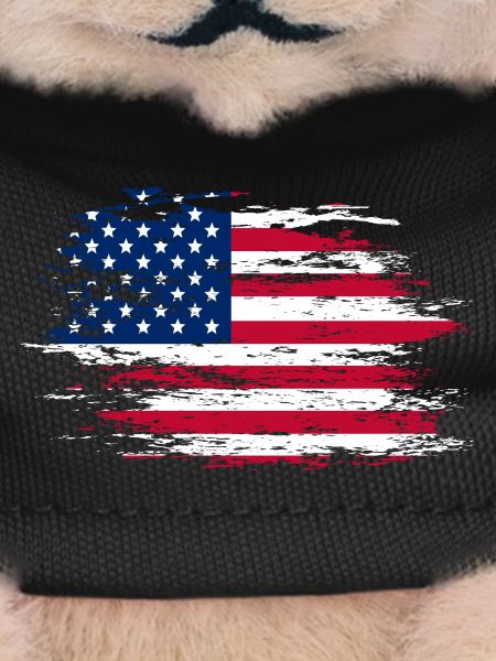 Drapeau des États-Unis utilisé