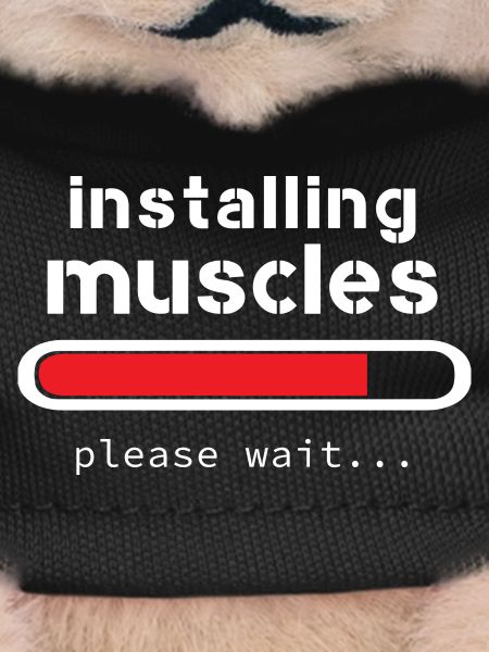 installing muscles
