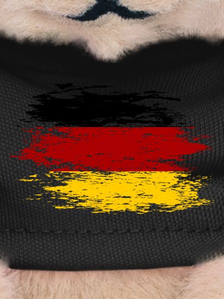 Germany flag used