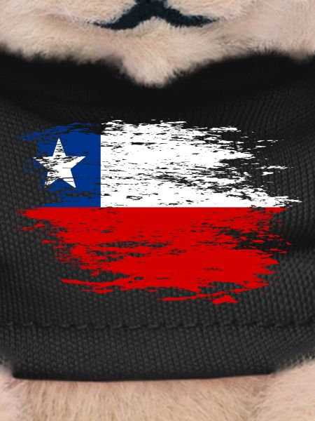 Drapeau chilien utilisé