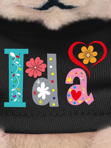 Nom personnalisé d’Ida