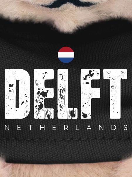 Delft Distressed Wordmark