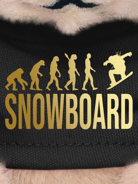 Evolution Snowboard