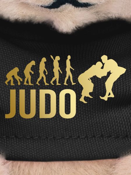 Judo Evolution
