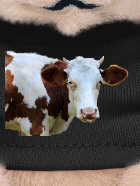 Vache