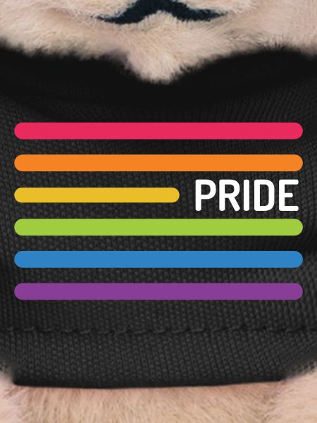 LGBT Pride Month - Pride!