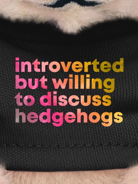 Hedgehog Hedgehog Hedgehog