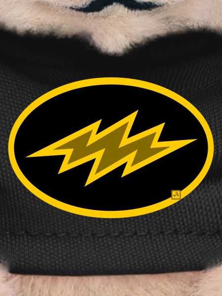 bolt