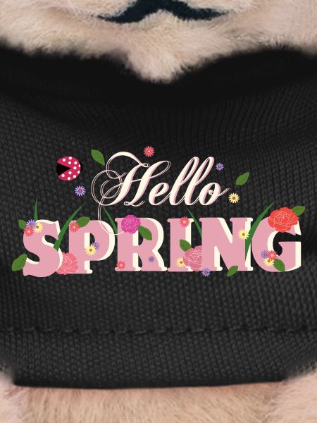 hello spring