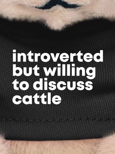 Cattle Cattle Cattle