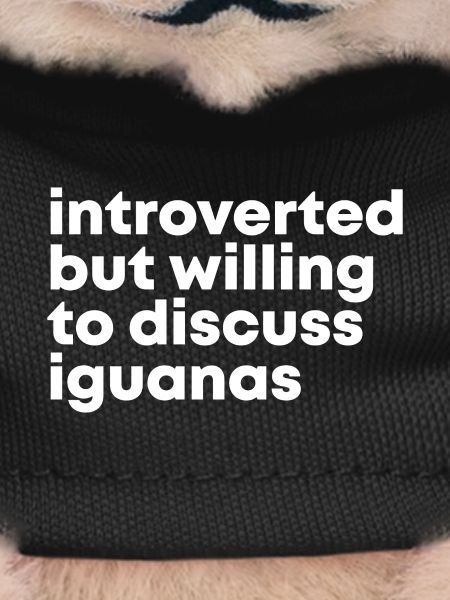 Iguana Iguana Iguana