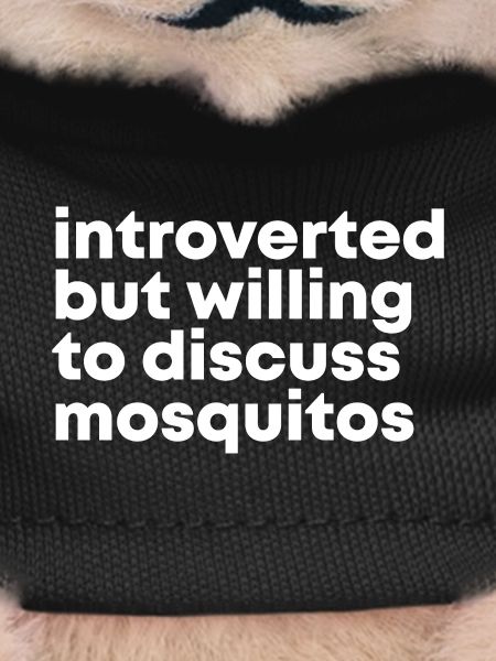 Mosquito Mosquito Mosquito