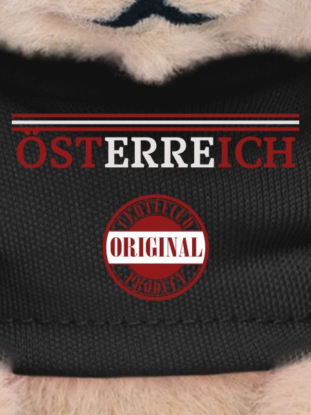 Austrian pride, flag of Austria