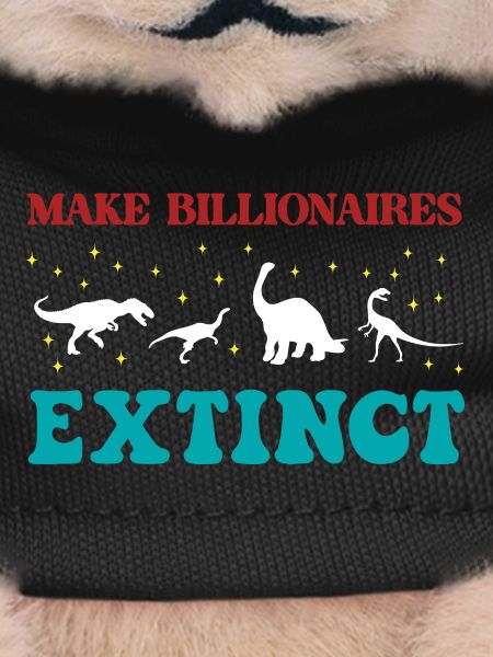 Make Billionaires Extinct