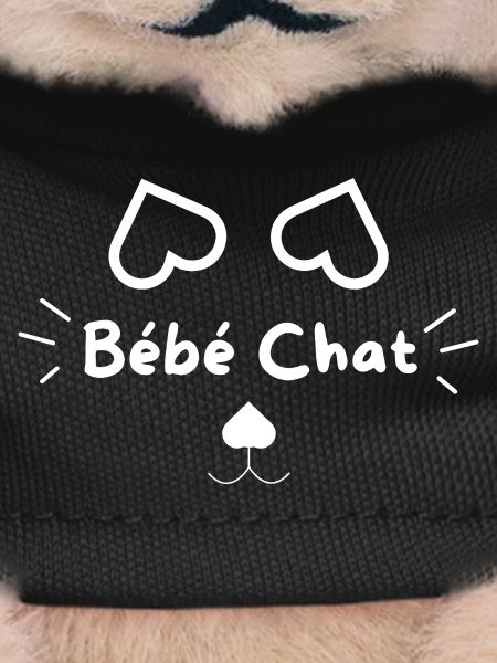 Bébé Chat