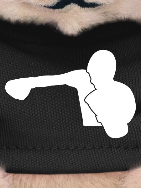Boxer boxe sportive