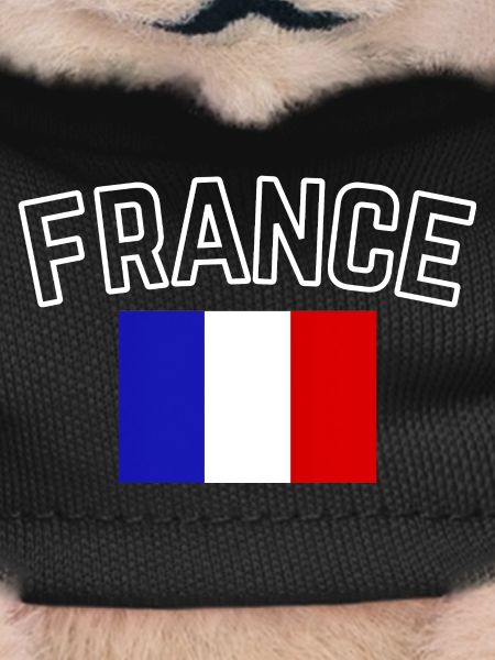 France – French Flag