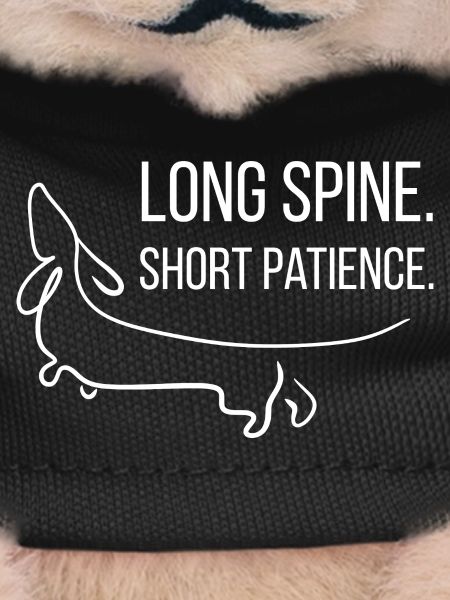 Short-legged. Stubborn. Dachshund.