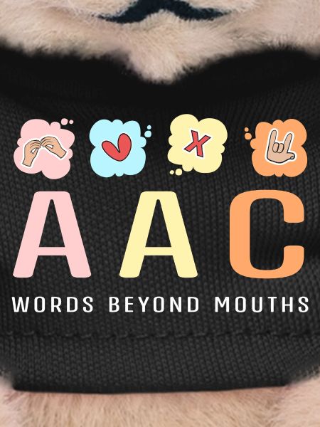 SLP Sign Language AAC Communication