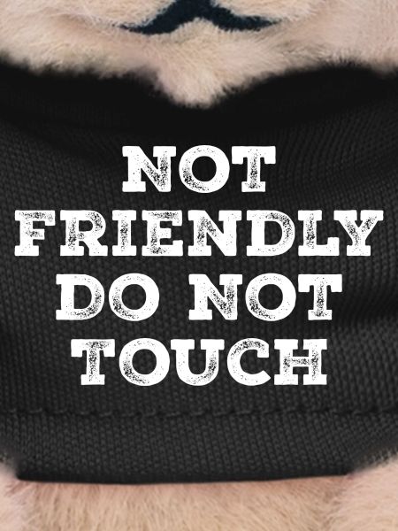 Not friendly do not touch