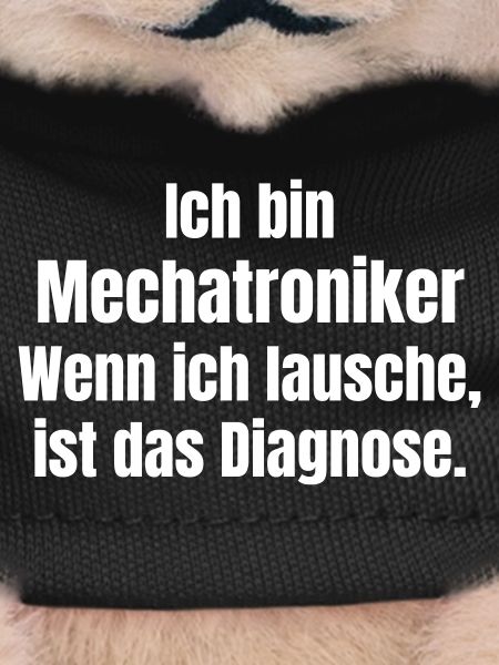 Mechatronics Technician Diagnosis Lach