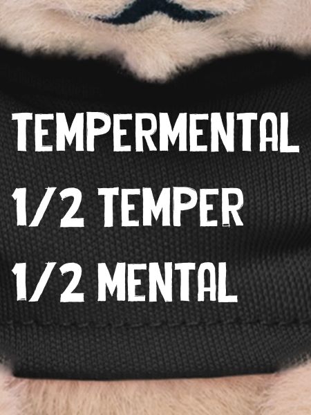 Tempermental Split Typography