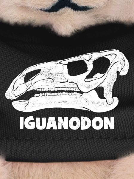Iguanodon Fossil
