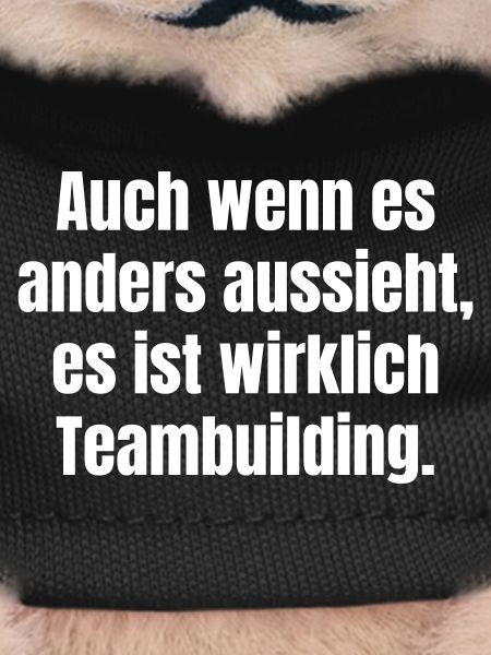 Despite appearances: Teambuilding saying