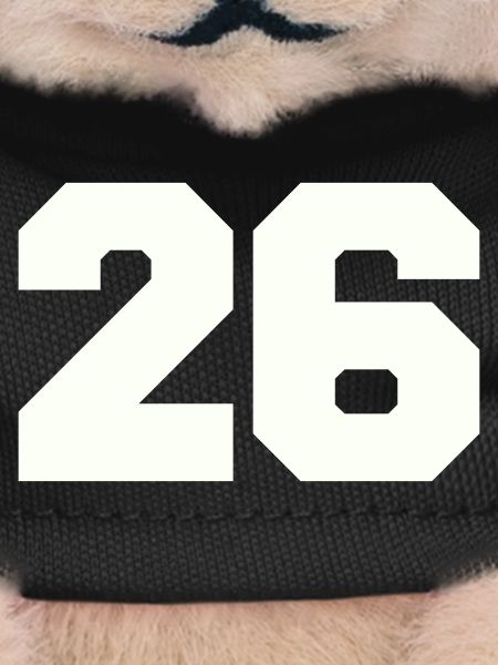 26