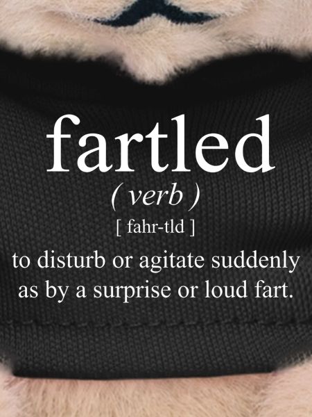 Fartled Definition Fart Funny