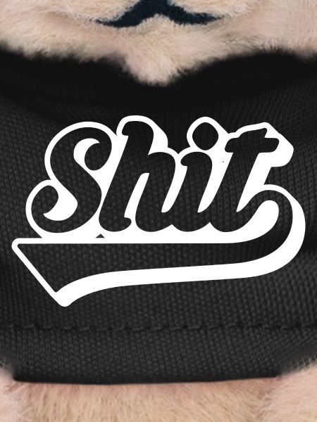 Shit Retro Script