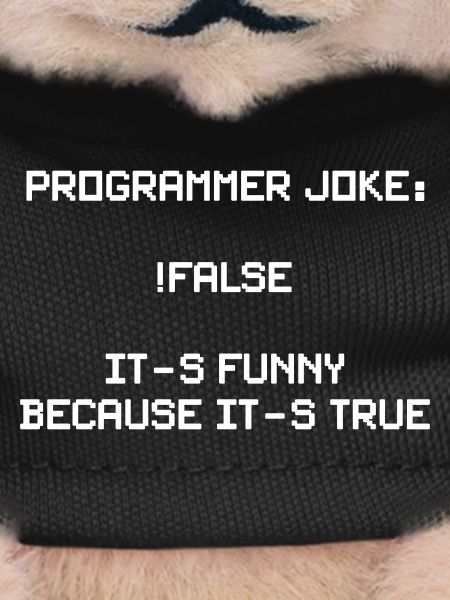 Lustiges Programmierer-Motiv für Entwickler, Coder