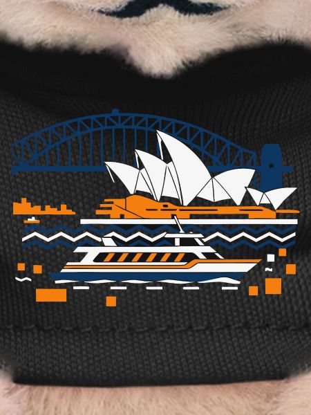 Sydney Opera Harbour Bridge Skyline