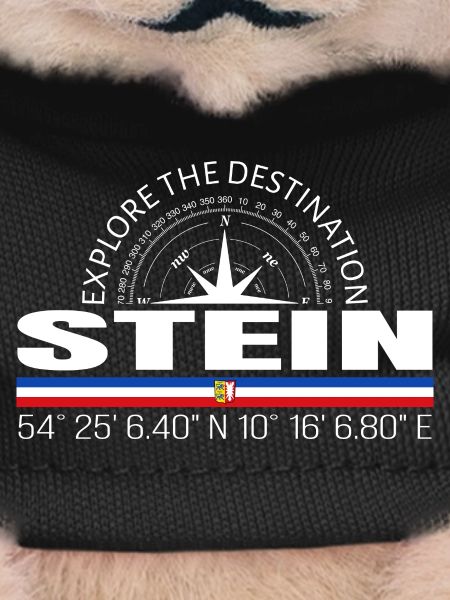 Stein