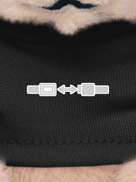 Seatbelt Sign.