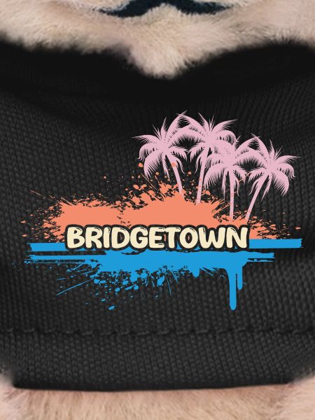 Palm trees Bridgetown