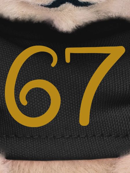 67