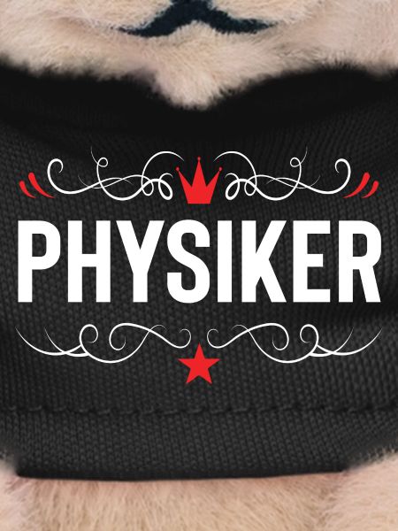 Physiker Beruf